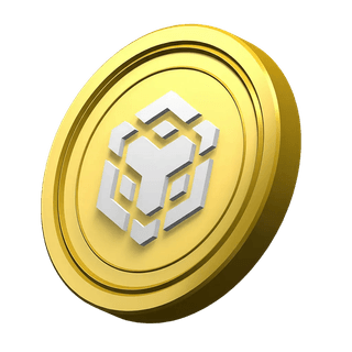 BNB coin used as decoration in the platform information section